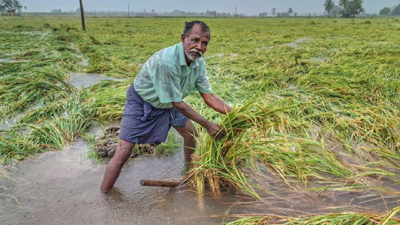 ರೈತರಿಗೆ ಖುಷಿ ಸುದ್ದಿ; ಪ್ರಧಾನ ಮಂತ್ರಿ ಫಸಲ್ ಬಿಮಾ, ಬೆಳೆ ವಿಮಾ ಯೋಜನೆಯ ಮುಂದುವರಿಕೆಗೆ ಕೇಂದ್ರ ಸಂಪುಟ ಅನುಮೋದನೆ ರೈತರಿಗೆ ಖುಷಿ ಸುದ್ದಿ; ಪ್ರಧಾನ ಮಂತ್ರಿ ಫಸಲ್ ಬಿಮಾ, ಬೆಳೆ ವಿಮಾ ಯೋಜನೆಯ ಮುಂದುವರಿಕೆಗೆ ಕೇಂದ್ರ ಸಂಪುಟ ಅನುಮೋದನೆ