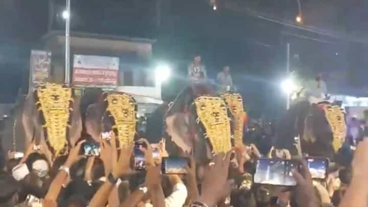 Video: ಕೇರಳ ಉತ್ಸವದಲ್ಲಿ ಕೆರಳಿದ ಆನೆ, 20ಕ್ಕೂ ಅಧಿಕ ಮಂದಿಗೆ ಗಾಯ Video: ಕೇರಳ ಉತ್ಸವದಲ್ಲಿ ಕೆರಳಿದ ಆನೆ, 20ಕ್ಕೂ ಅಧಿಕ ಮಂದಿಗೆ ಗಾಯ