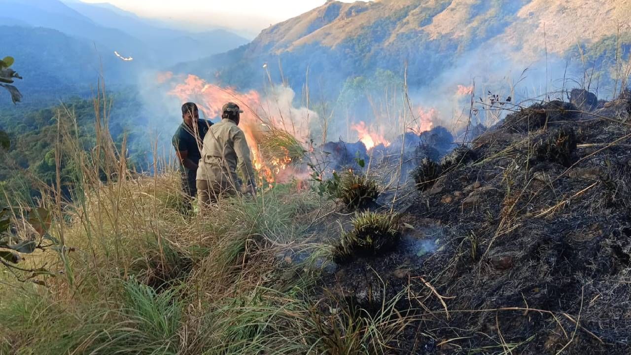 Wild Fire: ಚಾರ್ಮಾಡಿ ಘಾಟಿಯಲ್ಲಿ ಭಾರೀ ಕಾಡ್ಗಿಚ್ಚು