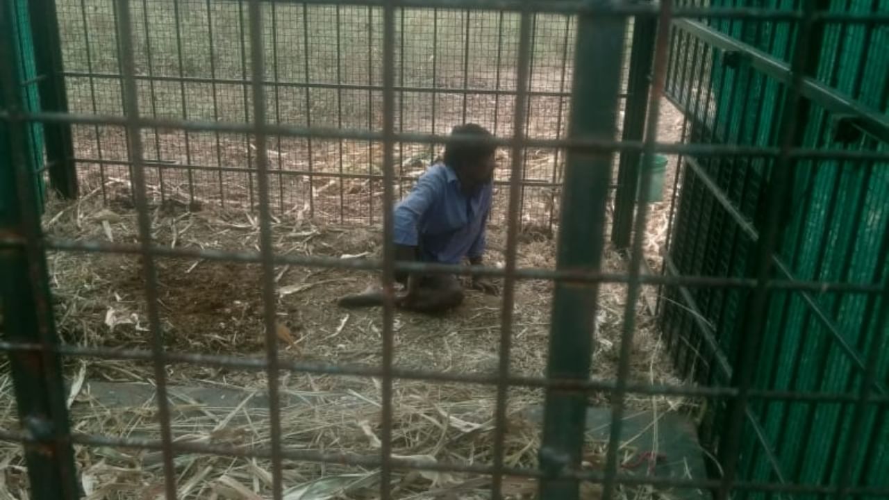 Hanumantaiah In Cage