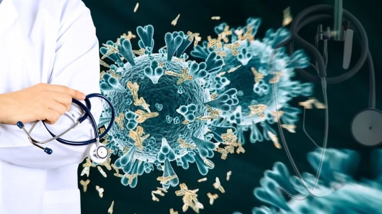 HMPV Virus: HMPV ವೈರಸ್ ಹೇಗೆ ಹರಡುತ್ತದೆ? ಇದರ ಲಕ್ಷಣಗಳು ಹಾಗೂ ಮುನ್ನೆಚ್ಚರಿಕೆ ಕ್ರಮಗಳ ಬಗ್ಗೆ ತಜ್ಞರು ಹೇಳುವುದೇನು? ಇಲ್ಲಿದೆ ಮಾಹಿತಿ HMPV Virus: HMPV ವೈರಸ್ ಹೇಗೆ ಹರಡುತ್ತದೆ? ಇದರ ಲಕ್ಷಣಗಳು ಹಾಗೂ ಮುನ್ನೆಚ್ಚರಿಕೆ ಕ್ರಮಗಳ ಬಗ್ಗೆ ತಜ್ಞರು ಹೇಳುವುದೇನು? ಇಲ್ಲಿದೆ ಮಾಹಿತಿ