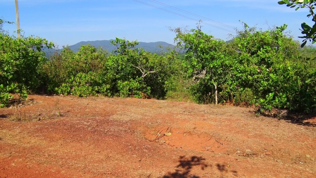 Honnavar Salkod Area