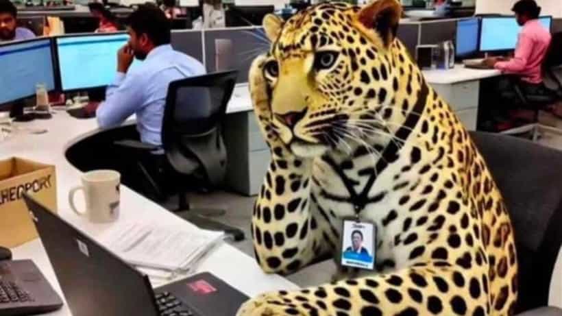 Viral: ಮೈಸೂರಿನ ಇನ್ಫೋಸಿಸ್ ಉದ್ಯೋಗಿಗಳಿಗೆ ವರ್ಕ್ ಫ್ರಮ್ ಹೋಮ್ ಕೊಡಲು ಚಿರತೆಯಿಂದ ಮಾತ್ರ ಸಾಧ್ಯ; ವೈರಲ್ ಆಗ್ತಿದೆ ಮೀಮ್ಸ್