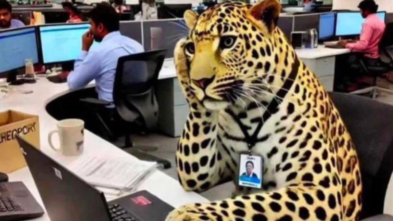 Viral: ಮೈಸೂರಿನ ಇನ್ಫೋಸಿಸ್ ಉದ್ಯೋಗಿಗಳಿಗೆ ವರ್ಕ್ ಫ್ರಮ್ ಹೋಮ್ ಕೊಡಲು ಚಿರತೆಯಿಂದ ಮಾತ್ರ ಸಾಧ್ಯ; ವೈರಲ್ ಆಗ್ತಿದೆ ಮೀಮ್ಸ್ Viral: ಮೈಸೂರಿನ ಇನ್ಫೋಸಿಸ್ ಉದ್ಯೋಗಿಗಳಿಗೆ ವರ್ಕ್ ಫ್ರಮ್ ಹೋಮ್ ಕೊಡಲು ಚಿರತೆಯಿಂದ ಮಾತ್ರ ಸಾಧ್ಯ; ವೈರಲ್ ಆಗ್ತಿದೆ ಮೀಮ್ಸ್