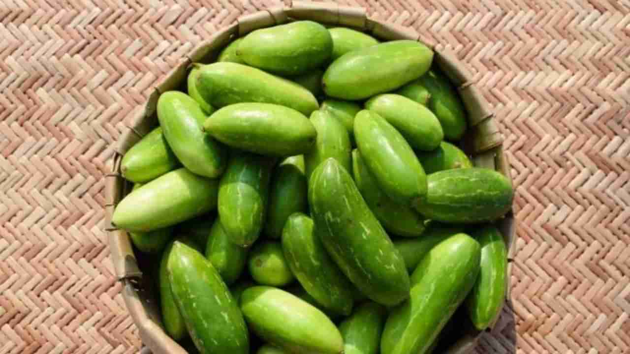 ತೊಂಡೆಕಾಯಿ ತಿಂದರೆ ಮರೆಗುಳಿತನ ಬರುವುದಿಲ್ಲ, ಬುದ್ಧಿಶಕ್ತಿ ಜಾಸ್ತಿಯಾಗುತ್ತೆ