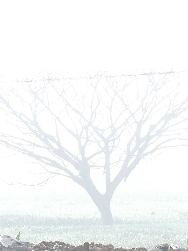 ಕೋಲಾರದ ಜನರಿಗೆ ಮಲೆನಾಡಿನ ಅನುಭವ ನೀಡಿದ ಮಂಜಿನಲೋಕ