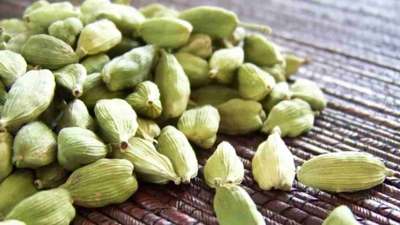 Land of Cardamom: ಕರ್ನಾಟಕದ ಈ ಜಿಲ್ಲೆಗೆ ಏಲಕ್ಕಿ ನಾಡು ಎಂದು ಹೆಸರು ಬಂದದ್ದು ಹೇಗೆ? ಇಲ್ಲಿದೆ ಕುತೂಹಲಕಾರಿ ಸಂಗತಿ