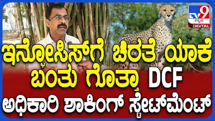 ಕೈಗಾರಿಕಾ ಪ್ರದೇಶದಲ್ಲಿ ಹಲವಾರು ರೋಗಗ್ರಸ್ತ ಯೂನಿಟ್ಗಳಿದ್ದು ಚಿರತೆ ಅಲ್ಲಿ ಸೇರಿರುವ ಸಾಧ್ಯತೆಯಿದೆ: ಬಸವರಾಜು, ಮೈಸೂರು ಡಿಸಿಎಫ್ ಕೈಗಾರಿಕಾ ಪ್ರದೇಶದಲ್ಲಿ ಹಲವಾರು ರೋಗಗ್ರಸ್ತ ಯೂನಿಟ್ಗಳಿದ್ದು ಚಿರತೆ ಅಲ್ಲಿ ಸೇರಿರುವ ಸಾಧ್ಯತೆಯಿದೆ: ಬಸವರಾಜು, ಮೈಸೂರು ಡಿಸಿಎಫ್