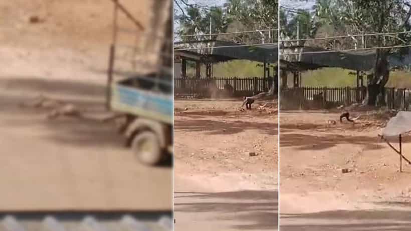 ಮೂಕ ಪ್ರಾಣಿ ಮೇಲೆ ಇದೆಂಥಾ ಕ್ರೌರ್ಯ: ನಾಯಿಯನ್ನ ಕೊಂದು ಆಟೋಗೆ ಕಟ್ಟಿ ಎಳೆದೊಯ್ದ ವ್ಯಕ್ತಿ
