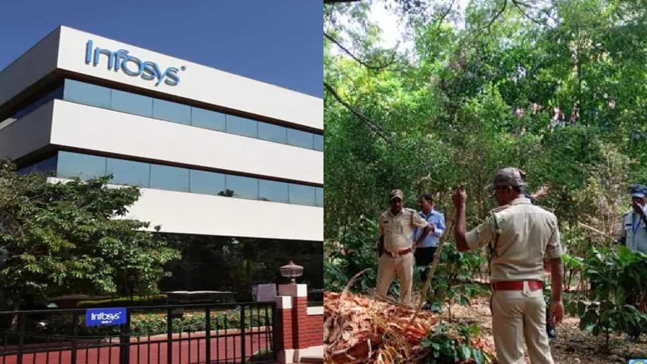 ಮೈಸೂರು ಇನ್ಫೋಸಿಸ್ ಆವರಣದಲ್ಲಿ ಕೊನೆಗೂ ಸಿಗದ ಚಿರತೆ: 16 ದಿನಗಳ ಕಾರ್ಯಾಚರಣೆ ಸ್ಥಗಿತ, ಇನ್ನು ಡ್ರೋನ್ ಕಣ್ಣು ಮೈಸೂರು ಇನ್ಫೋಸಿಸ್ ಆವರಣದಲ್ಲಿ ಕೊನೆಗೂ ಸಿಗದ ಚಿರತೆ: 16 ದಿನಗಳ ಕಾರ್ಯಾಚರಣೆ ಸ್ಥಗಿತ, ಇನ್ನು ಡ್ರೋನ್ ಕಣ್ಣು