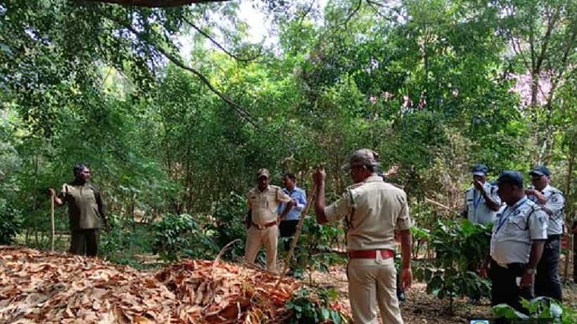 ಮೈಸೂರಿನ ಇನ್ಫೋಸಿಸ್ ಕ್ಯಾಂಪಸ್ನಲ್ಲಿ ಇಂದೂ ಪತ್ತೆಯಾಗದ ಚಿರತೆ; 12 ತಂಡಗಳಿಂದ ಕಾರ್ಯಾಚರಣೆ