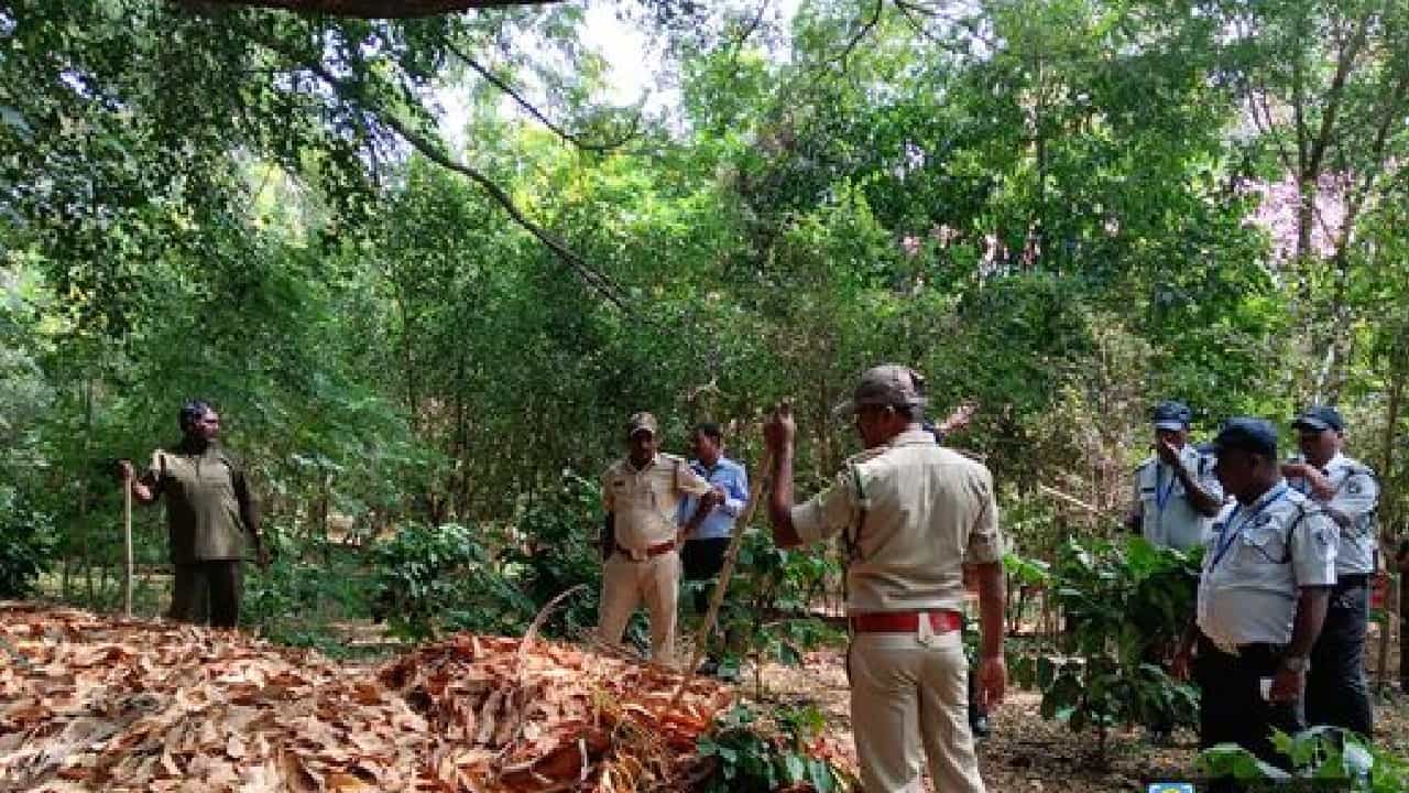 ಮೈಸೂರಿನ ಇನ್ಫೋಸಿಸ್ ಕ್ಯಾಂಪಸ್ನಲ್ಲಿ ಇಂದೂ ಪತ್ತೆಯಾಗದ ಚಿರತೆ; 12 ತಂಡಗಳಿಂದ ಕಾರ್ಯಾಚರಣೆ ಮೈಸೂರಿನ ಇನ್ಫೋಸಿಸ್ ಕ್ಯಾಂಪಸ್ನಲ್ಲಿ ಇಂದೂ ಪತ್ತೆಯಾಗದ ಚಿರತೆ; 12 ತಂಡಗಳಿಂದ ಕಾರ್ಯಾಚರಣೆ
