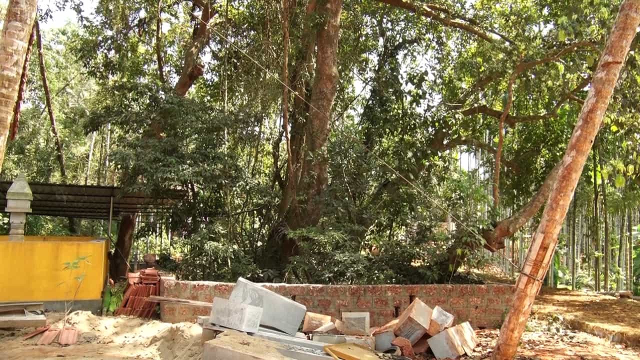 ಮಂಗಳೂರು: ಪೆದಮಲೆ ಗ್ರಾಮದಲ್ಲಿ ಮಣ್ಣಿನಡಿ ಹುದುಗಿ ಹೋಗಿದ್ದ 300 ವರ್ಷ ಹಳೆಯ ದೈವಸ್ಥಾನ ಪತ್ತೆ ಮಂಗಳೂರು: ಪೆದಮಲೆ ಗ್ರಾಮದಲ್ಲಿ ಮಣ್ಣಿನಡಿ ಹುದುಗಿ ಹೋಗಿದ್ದ 300 ವರ್ಷ ಹಳೆಯ ದೈವಸ್ಥಾನ ಪತ್ತೆ