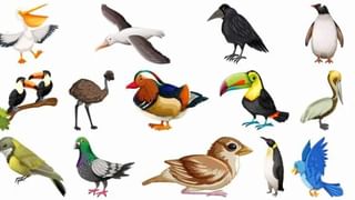 Personality Test : ನಾಲಿಗೆಯ ಬಣ್ಣದಿಂದಲೇ ನಿಮ್ಮ ವ್ಯಕ್ತಿತ್ವ ತಿಳಿಯುತ್ತೆ, ನಿಮ್ಮ ನಾಲಿಗೆ ಬಣ್ಣ ಯಾವುದು?