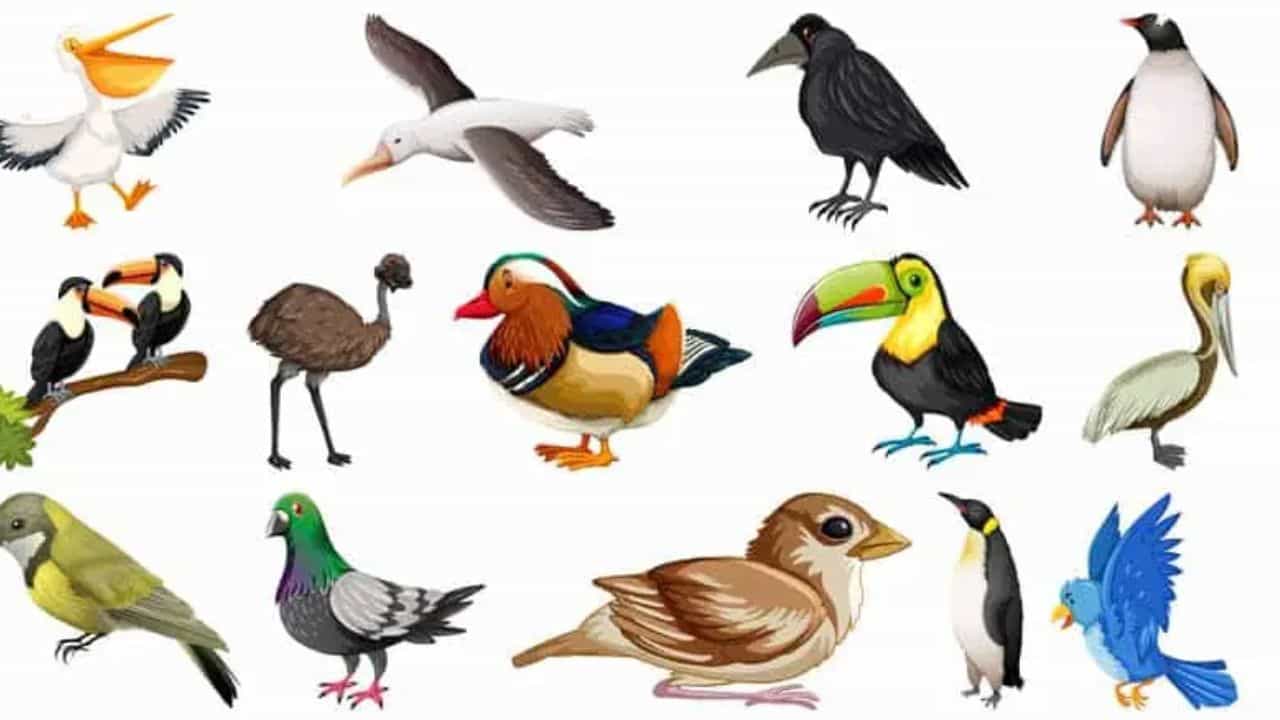 Personality Test : ಈ ಚಿತ್ರದಲ್ಲಿ ನೀವು ಆಯ್ಕೆ ಮಾಡುವ ಪಕ್ಷಿ ಯಾವುದು? ನಿಮ್ಮ ವ್ಯಕ್ತಿತ್ವ ಹೀಗೂ ರಿವೀಲ್ ಆಗುತ್ತೆ Personality Test : ಈ ಚಿತ್ರದಲ್ಲಿ ನೀವು ಆಯ್ಕೆ ಮಾಡುವ ಪಕ್ಷಿ ಯಾವುದು? ನಿಮ್ಮ ವ್ಯಕ್ತಿತ್ವ ಹೀಗೂ ರಿವೀಲ್ ಆಗುತ್ತೆ