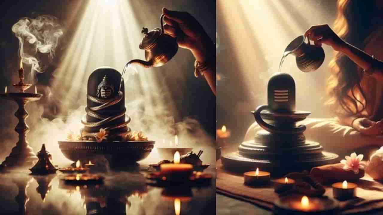 Shiva Lingam Puja: ಶಿವಲಿಂಗಕ್ಕೆ ಅಭಿಷೇಕ ಮಾಡುವಾಗ ಈ ತಪ್ಪುಗಳನ್ನು ಮಾಡಬೇಡಿ