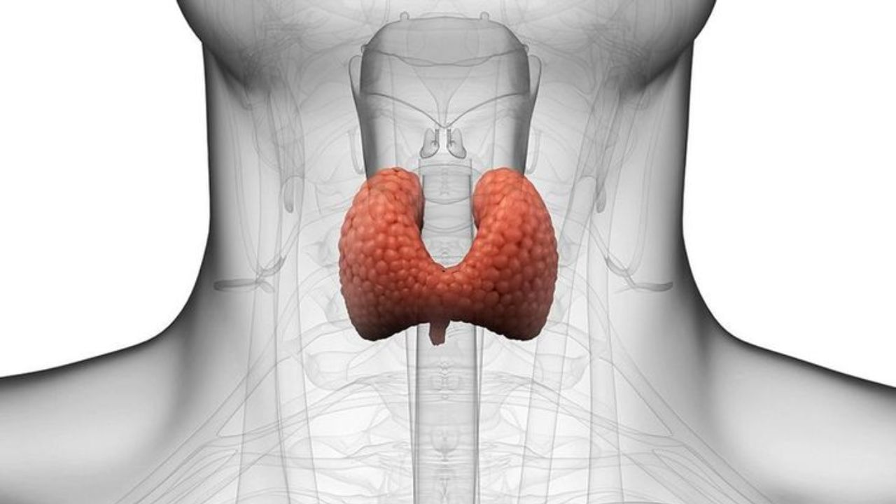 ಪುರುಷರಲ್ಲಿ ಈ ಲಕ್ಷಣಗಳು ಕಂಡುಬಂದರೆ ಎಂದಿಗೂ ನಿರ್ಲಕ್ಷಿಸಬೇಡಿ