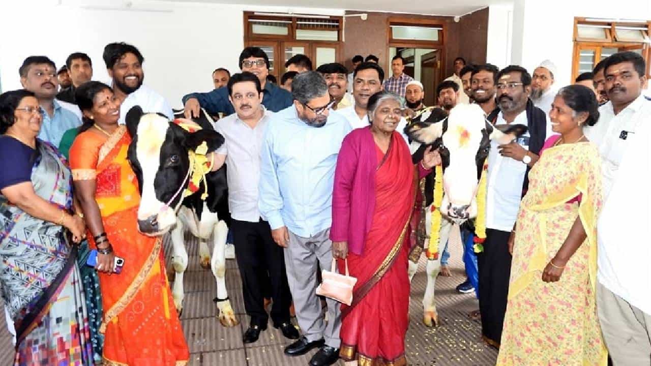 ಹಸುಗಳ ಕೆಚ್ಚಲು ಕೊಯ್ದು ಕ್ರೌರ್ಯ ಮೆರೆದ ಪ್ರಕರಣಕ್ಕೆ ಸಂಬಂಧಿಸಿದಂತೆ ಚಾಮರಾಜಪೇಟೆ ಶಾಸಕ, ವಸತಿ ಸಚಿವ ಜಮೀರ್ ಅಹಮದ್ ಖಾನ್ ಅವರು ಮಾಲೀಕನಿಗೆ ಮೂರು ಹಸುಗಳನ್ನು ನೀಡಿದ್ದಾರೆ. ಈ ಮೂಲಕ ಕೊಟ್ಟ ಮಾತಿನಂತೆ ನಡೆದುಕೊಮಡಿದ್ದಾರೆ.