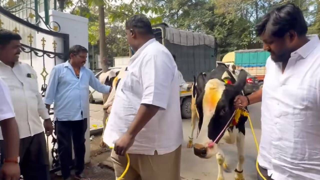 ಬೆಂಗಳೂರಿನಲ್ಲಿ ಹಸುಗಳ ಕೆಚ್ಚಲು ಕೊಯ್ದು ಕ್ರೌರ್ಯ ಮೆರೆದಿದ್ದ ಆರೋಪಿಯನ್ನು ಈಗಾಗಲೇ ಪೊಲೀಸರು ಬಂಧಿಸಿ ಜೈಲಿಗಟ್ಟಿದ್ದಾರೆ. ಇನ್ನು ಈ ಪ್ರಕರಣ ಸಂಬಂಧ ಬಿಜೆಪಿ ನಾಯಕರು ರಾಜಕೀಯ ಅಸ್ತ್ರವನ್ನಾಗಿ ಮಾಡಿಕೊಂಡು ಕಾಂಗ್ರೆಸ್ ಸರ್ಕಾರದ ವಿರುದ್ಧ ವಾಗ್ದಾಳಿ ನಡೆಸಿದ್ದಾರೆ. ಆದ್ರೆ, ಇದೀಗ ಕರ್ಣ ಕುಟುಂಬಸ್ಥರು, ಜಮೀರ್ ಅಹಮ್ಮದ್ ಖಾನ್ ಅವರ ಪರ ಬ್ಯಾಟಿಂಗ್ ಮಾಡಿದ್ದಾರೆ. ಈ ಮೂಲಕ ಎಲ್ಲಾ ಗೊಂದಲಗಳಿಗೆ ತೆರೆ ಎಳೆದಿದ್ದಾರೆ.