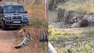 ಸುಗ್ರೀವಾಜ್ಞೆ ಹೊಸ್ತಿಲಲ್ಲೇ ಸಿದ್ದರಾಮಯ್ಯ ಸರ್ಕಾರಕ್ಕೆ ಸೆಡ್ಡು ಹೊಡೆದ ಮೈಕ್ರೋಫೈನಾನ್ಸ್ ಕಂಪನಿಗಳು