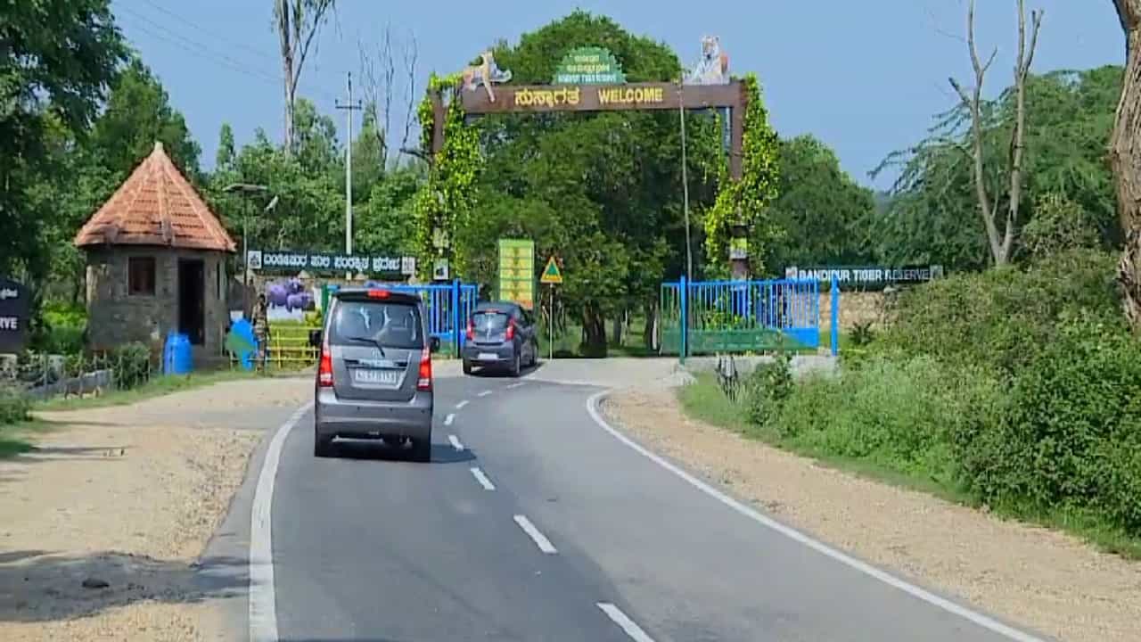 ಪ್ರಧಾನಿ ಮೋದಿ ಭೇಟಿ ಬಳಿಕ ಪ್ರವಾಸಿಗರ ಸಂಖ್ಯೆ, ಆದಾಯ ಹೆಚ್ಚಳ: ಗಳಿಕೆಯಲ್ಲಿ ರಾಜ್ಯದಲ್ಲೇ ಮೊದಲ ಸ್ಥಾನಕ್ಕೇರಿದ ಬಂಡೀಪುರ ಪ್ರಧಾನಿ ಮೋದಿ ಭೇಟಿ ಬಳಿಕ ಪ್ರವಾಸಿಗರ ಸಂಖ್ಯೆ, ಆದಾಯ ಹೆಚ್ಚಳ: ಗಳಿಕೆಯಲ್ಲಿ ರಾಜ್ಯದಲ್ಲೇ ಮೊದಲ ಸ್ಥಾನಕ್ಕೇರಿದ ಬಂಡೀಪುರ
