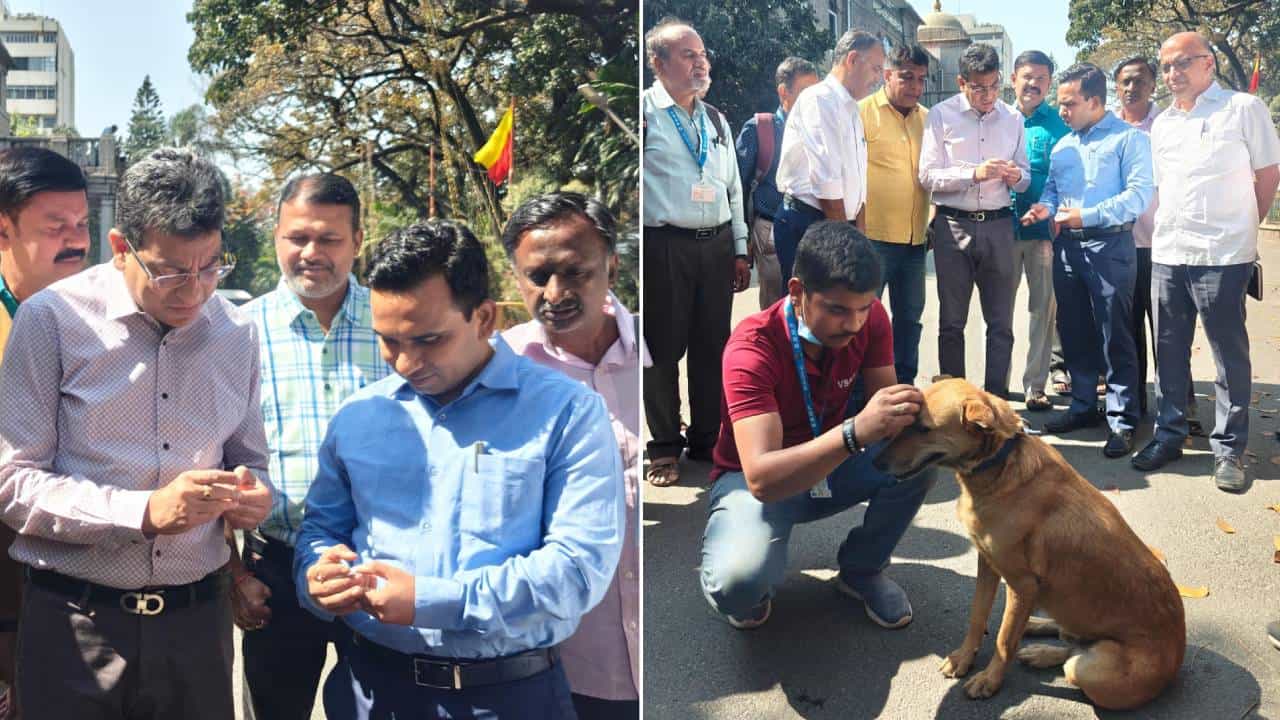 ಬೆಂಗಳೂರಿನಲ್ಲಿ ಬೀದಿನಾಯಿಗಳಿಂದಾಗುವ ಅಪಾಯ ತಡೆಯಲು ಬಿಬಿಎಂಪಿ ಹೊಸ ಪ್ಲಾನ್ ಬೆಂಗಳೂರಿನಲ್ಲಿ ಬೀದಿನಾಯಿಗಳಿಂದಾಗುವ ಅಪಾಯ ತಡೆಯಲು ಬಿಬಿಎಂಪಿ ಹೊಸ ಪ್ಲಾನ್