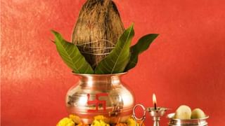 March Festival 2025: ಹೋಳಿಯಿಂದ ಯುಗಾದಿಯವರೆಗೆ ಮಾರ್ಚ್‌ ತಿಂಗಳಲ್ಲಿ ಆಚರಿಸಲಾಗುವ ಹಬ್ಬಗಳ ಪಟ್ಟಿ ಇಲ್ಲಿದೆ