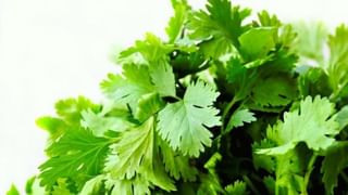 ಗರ್ಭಕಂಠದ ಕ್ಯಾನ್ಸರ್ ತಡೆಗಟ್ಟಲು ಬೆಂಗಳೂರಿನಲ್ಲಿ ಉಚಿತ HPV ಲಸಿಕೆ ಅಭಿಯಾನ ಆರಂಭ