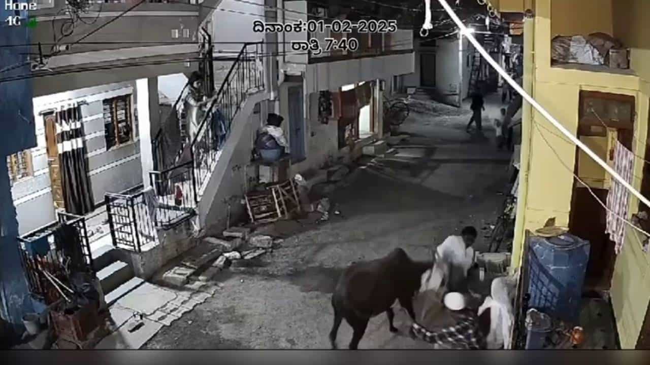 ಬಾಗಲಕೋಟೆ: ಹುಚ್ಚೆದ್ದ ಗೋವಿನಿಂದ ಜನರ ಮೇಲೆ ದಾಳಿ ಬಾಗಲಕೋಟೆ: ಹುಚ್ಚೆದ್ದ ಗೋವಿನಿಂದ ಜನರ ಮೇಲೆ ದಾಳಿ