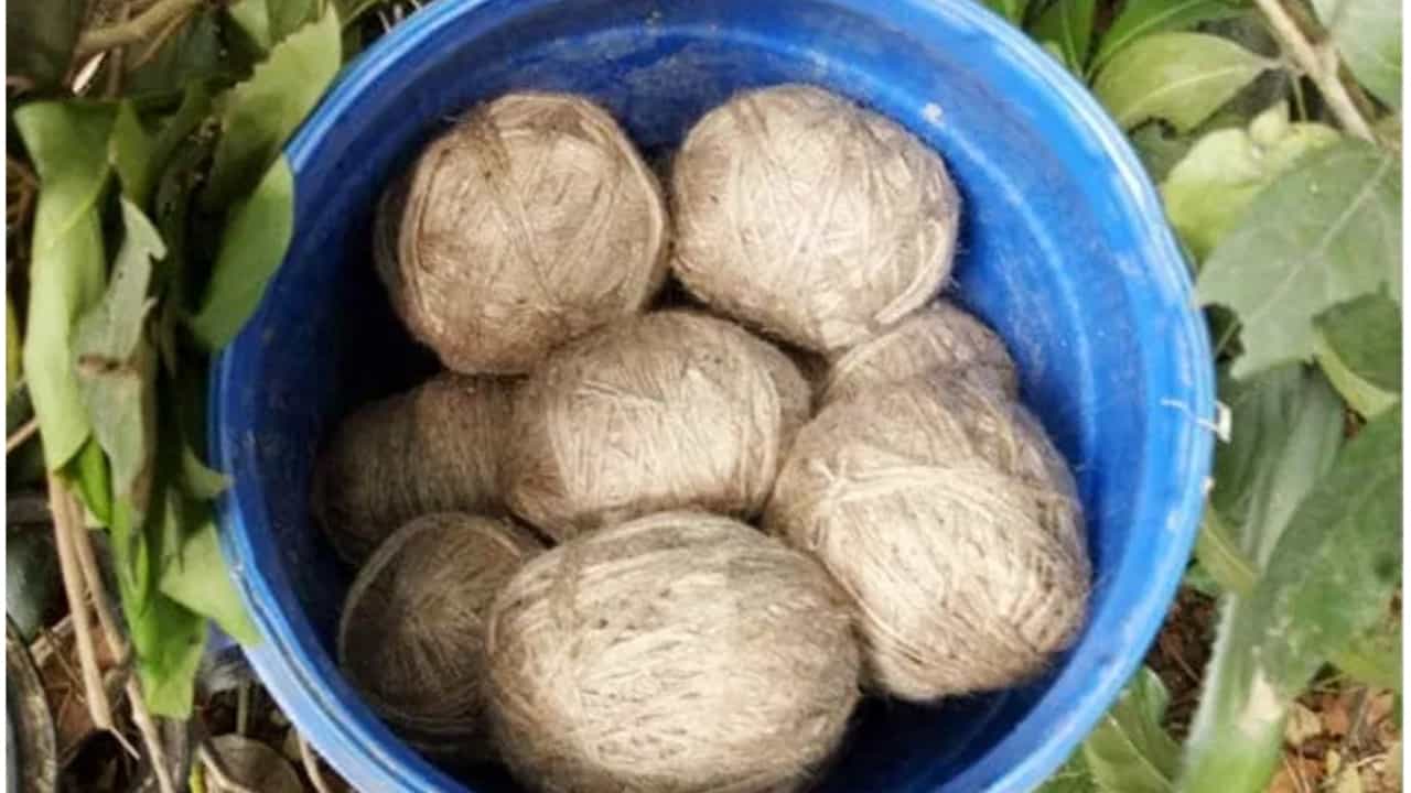 ಕೊಳ್ಳೇಗಾಲದಲ್ಲಿ ತಯಾರಾಗ್ತಿತ್ತು ಕಚ್ಚಾ ಬಾಂಬ್: ಹಸುಗಳ ಬಾಯಿ ಛಿದ್ರವಾದ ಬೆನ್ನಲ್ಲೇ ಬಯಲಾಯ್ತು ಅಸಲಿಯತ್ತು ಕೊಳ್ಳೇಗಾಲದಲ್ಲಿ ತಯಾರಾಗ್ತಿತ್ತು ಕಚ್ಚಾ ಬಾಂಬ್: ಹಸುಗಳ ಬಾಯಿ ಛಿದ್ರವಾದ ಬೆನ್ನಲ್ಲೇ ಬಯಲಾಯ್ತು ಅಸಲಿಯತ್ತು