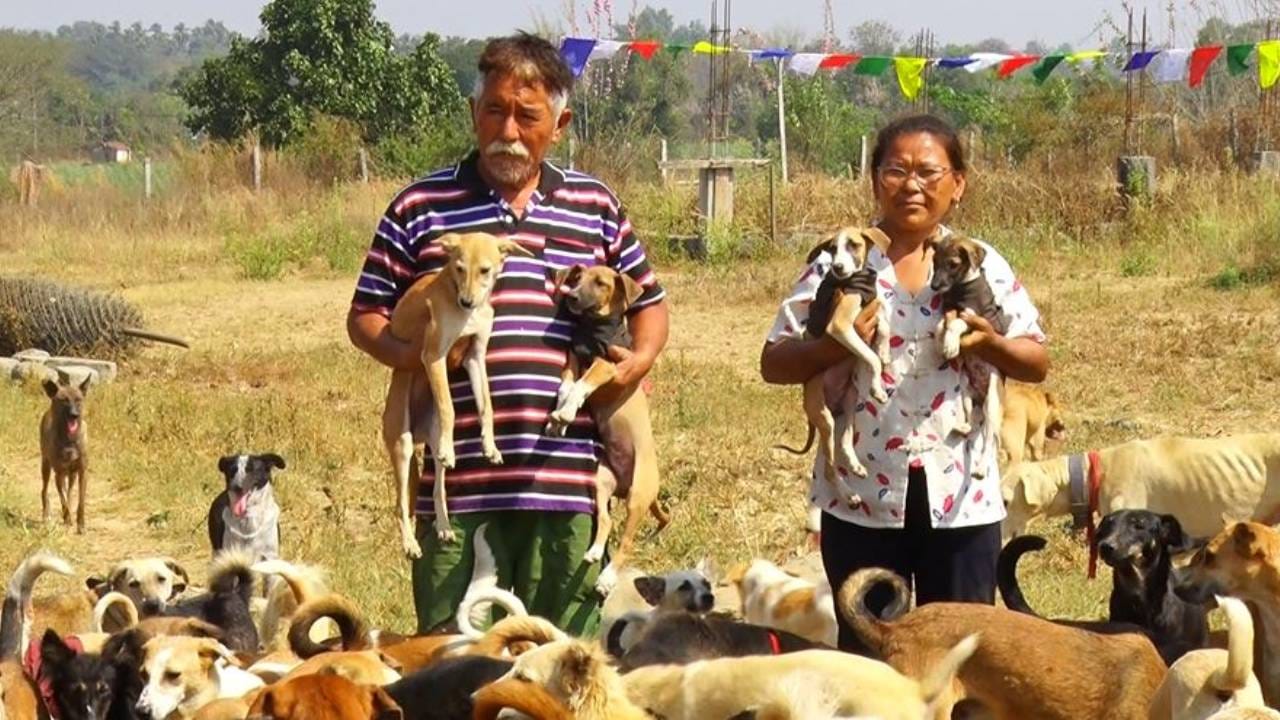 ತಾವು ಜೀವನ ಪರ್ಯಂತ ದುಡಿದ ಅಲ್ಪ ಹಣ ಹಾಗೂ ದಾನಿಗಳ‌ ಸಹಕಾರದಿಂದ ಒಂದು ಏಕರೆ ಜಮೀನನ್ನು ಖರೀದಿ ಮಾಡಿ.‌ ಅದರಲ್ಲಿಯೇ ಒಂದು ಮನೆ ಕಟ್ಟಿಕೊಂಡು ಶ್ವಾನಗಳನ್ನು ಸಾಕಲಾರಂಭಿಸಿದ್ದು, ಇವತ್ತಿನವರೆಗೂ ಸುಮಾರು 287 ಶ್ವಾನಗಳನ್ನ ಸಾಕಿದ್ದಾರೆ.‌
