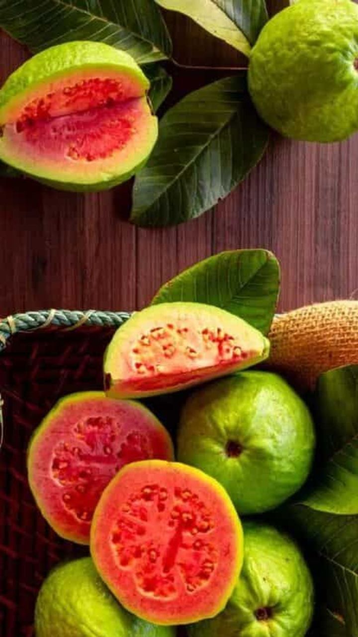 ಪೇರಳೆ ಹಣ್ಣು ರುಚಿಕರ ಮಾತ್ರವಲ್ಲ. ಇದು ಅನೇಕ ರೀತಿಯ ಆರೋಗ್ಯ ಪ್ರಯೋಜನಗಳನ್ನು ಸಹ ಹೊಂದಿದೆ. ಆದರೆ ಇದನ್ನು ಸರಿಯಾದ ಸಮಯದಲ್ಲಿ ಸೇವನೆ ಮಾಡುವುದು ಬಹಳ ಮುಖ್ಯವಾಗಿದೆ.