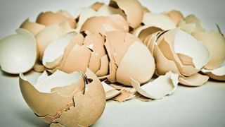 World Day Of Social Justice: ವಿಶ್ವ ಸಾಮಾಜಿಕ ನ್ಯಾಯ ದಿನವನ್ನು ಯಾಕಾಗಿ ಆಚರಿಸಬೇಕು?