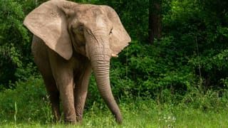 ಮಹಾಕುಂಭಕ್ಕೆ ಕರೆದೊಯ್ದು ಪತ್ನಿಯ ಕೊಂದು, ಮಕ್ಕಳ ಬಳಿ ನಿಮ್ಮಮ್ಮ ಕಳೆದುಹೋದ್ಲು ಎಂದಿದ್ದ ವ್ಯಕ್ತಿ, ನಡೆದಿದ್ದೇನು?