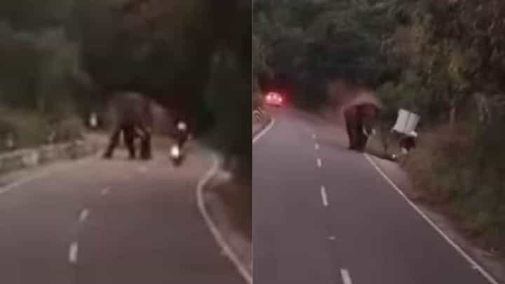 ವಿದೇಶಿ ಪ್ರಜೆಯನ್ನು ಬಲಿ ಪಡೆದ ಕಾಡಾನೆ, ಸೊಂಡಿಲಿನಿಂದ ಎತ್ತಿ ಬಿಸಾಡಿರುವ ವಿಡಿಯೋ ನೋಡಿ ವಿದೇಶಿ ಪ್ರಜೆಯನ್ನು ಬಲಿ ಪಡೆದ ಕಾಡಾನೆ, ಸೊಂಡಿಲಿನಿಂದ ಎತ್ತಿ ಬಿಸಾಡಿರುವ ವಿಡಿಯೋ ನೋಡಿ