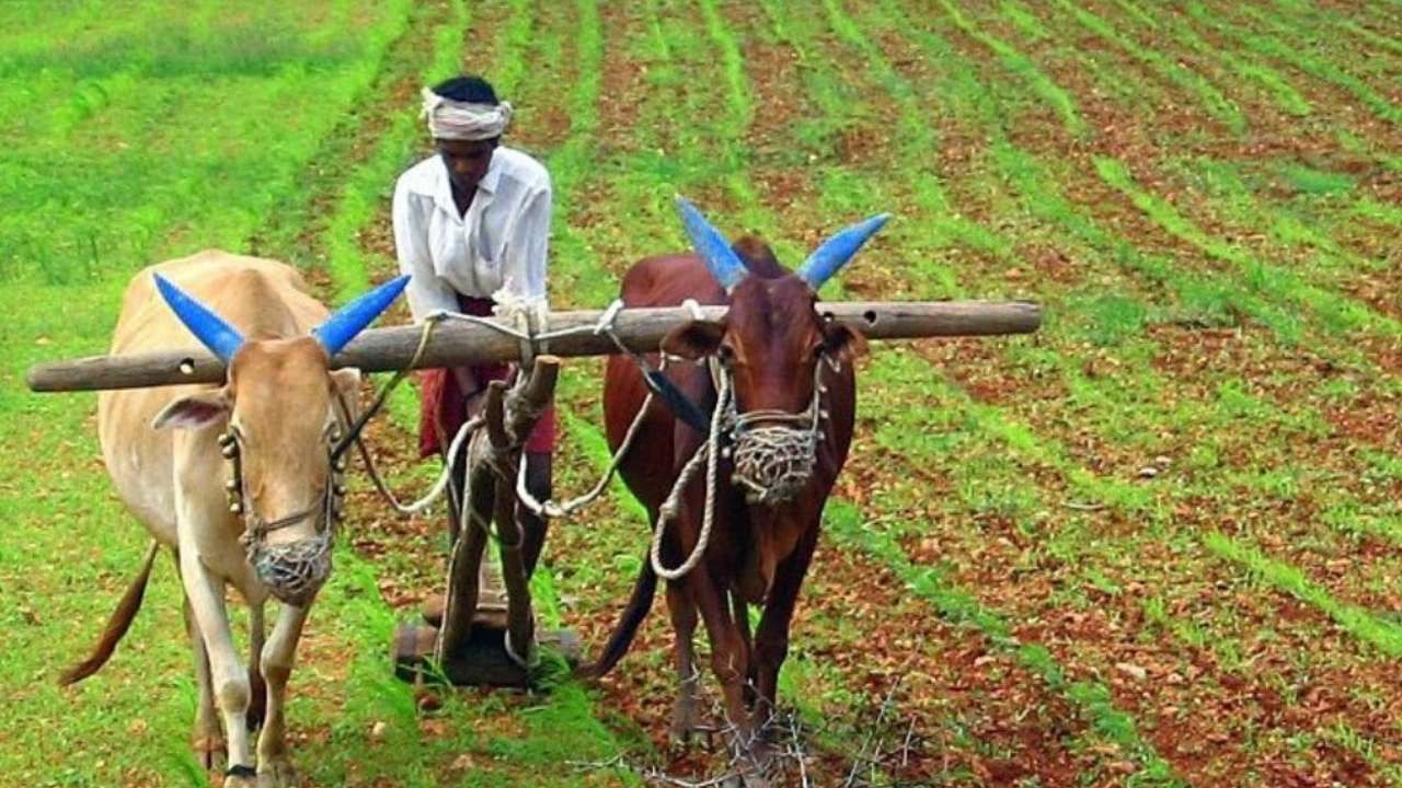 PM Kisan 19th Instalment: ಇವತ್ತು ಪಿಎಂ ಕಿಸಾನ್ ಹೊಸ ಕಂತು ಬಿಡುಗಡೆ; ಇಕೆವೈಸಿ ಆಗದಿದ್ದರೆ ಹಣ ಸಿಗಲ್ಲ; ಇಲ್ಲಿದೆ ಡೀಟೇಲ್ಸ್ PM Kisan 19th Instalment: ಇವತ್ತು ಪಿಎಂ ಕಿಸಾನ್ ಹೊಸ ಕಂತು ಬಿಡುಗಡೆ; ಇಕೆವೈಸಿ ಆಗದಿದ್ದರೆ ಹಣ ಸಿಗಲ್ಲ; ಇಲ್ಲಿದೆ ಡೀಟೇಲ್ಸ್