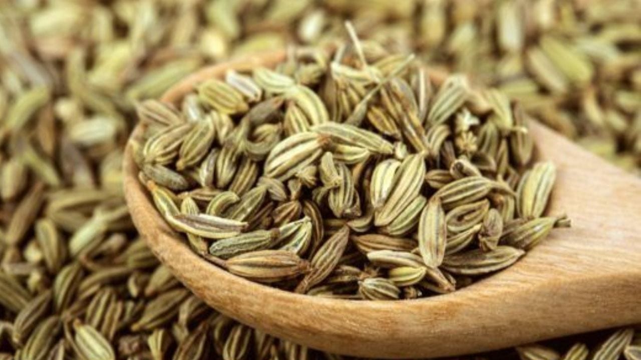 ರಾತ್ರಿ ಊಟವಾದ ಮೇಲೆ ಸೋಂಪು ತಿನ್ನುವ ಅಭ್ಯಾಸ ನಿಮಗಿದ್ದರೆ ಈ ವಿಷಯಗಳನ್ನು ತಿಳಿದುಕೊಳ್ಳಿ ರಾತ್ರಿ ಊಟವಾದ ಮೇಲೆ ಸೋಂಪು ತಿನ್ನುವ ಅಭ್ಯಾಸ ನಿಮಗಿದ್ದರೆ ಈ ವಿಷಯಗಳನ್ನು ತಿಳಿದುಕೊಳ್ಳಿ