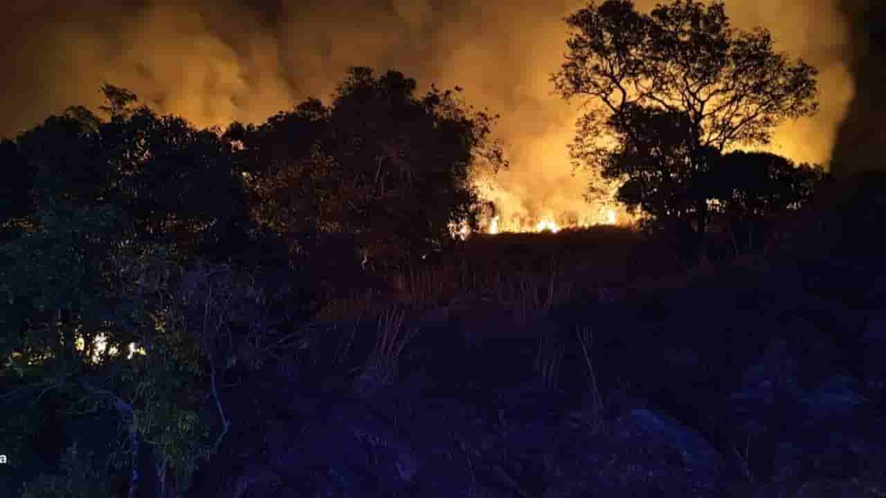 ಚಿಕ್ಕಮಗಳೂರು: ಕಿಡಿಗೇಡಿಗಳ ಕೃತ್ಯದಿಂದ ಪಶ್ಚಿಮ ಘಟ್ಟಗಳ ಸಾಲಿನ ಅರಣ್ಯಕ್ಕೆ ಬೆಂಕಿ, ತನಿಖೆಯಲ್ಲಿ ಬಯಲು