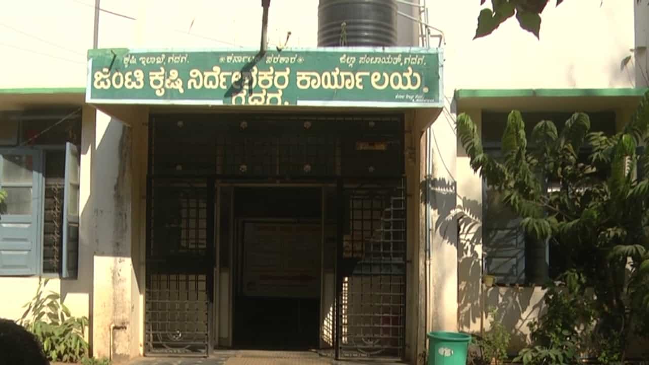 ಬೆಳೆ ವಿಮೆಯಲ್ಲಿ ಭಾರಿ ಅಕ್ರಮದ ಅನುಮಾನ: ಮಧ್ಯವರ್ತಿಗಳ ಮೂಲಕ ವಿಮೆ ಮಾಡಿದ ರೈತರಿಗಷ್ಟೇ ಹಣ ಜಮೆ ಬೆಳೆ ವಿಮೆಯಲ್ಲಿ ಭಾರಿ ಅಕ್ರಮದ ಅನುಮಾನ: ಮಧ್ಯವರ್ತಿಗಳ ಮೂಲಕ ವಿಮೆ ಮಾಡಿದ ರೈತರಿಗಷ್ಟೇ ಹಣ ಜಮೆ