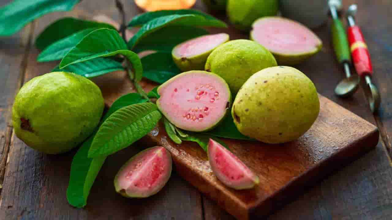 Guava Leaves Benefits: ಪೇರಳೆ ಹಣ್ಣಷ್ಟೇ ಅಲ್ಲ, ಈ ಎಲೆಯ ರಸದಲ್ಲಿದೆ ಆರೋಗ್ಯ