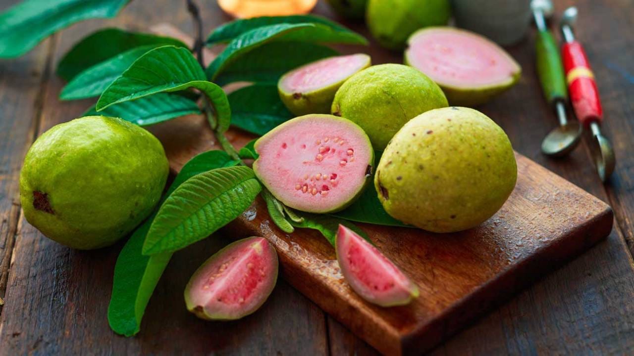 Guava Leaves Benefits: ಪೇರಳೆ ಹಣ್ಣಷ್ಟೇ ಅಲ್ಲ, ಈ ಎಲೆಯ ರಸದಲ್ಲಿದೆ ಆರೋಗ್ಯ Guava Leaves Benefits: ಪೇರಳೆ ಹಣ್ಣಷ್ಟೇ ಅಲ್ಲ, ಈ ಎಲೆಯ ರಸದಲ್ಲಿದೆ ಆರೋಗ್ಯ