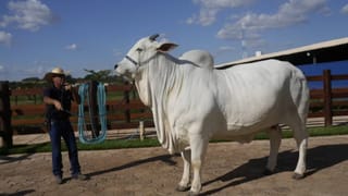 ಕುಂಭಮೇಳದಲ್ಲಿ ಚಹಾ ಮಾರಿ ಕೇವಲ ಒಂದು ದಿನದಲ್ಲಿ 5 ಸಾವಿರ ರೂ. ಲಾಭ ಗಳಿಸಿದ ಯುವಕ; ವಿಡಿಯೋ ವೈರಲ್‌