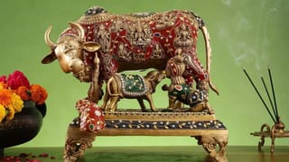 Vastu Tips: ಕುಬೇರ ದೇವನ ಆಶೀರ್ವಾದ ಸದಾ ನಿಮ್ಮ ಮನೆಯ ಮೇಲಿರಲು ಈ ವಾಸ್ತು ಸಲಹೆ ಅನುಸರಿಸಿ