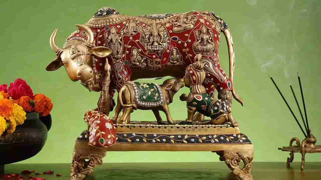 ಮನೆಯಲ್ಲಿ ಕಾಮಧೇನು ವಿಗ್ರಹ ಇಡುವುದು ಉತ್ತಮವೇ? ಬಸವರಾಜ ಗುರೂಜಿ ನೀಡಿರುವ ಮಾಹಿತಿ ಇಲ್ಲಿದೆ