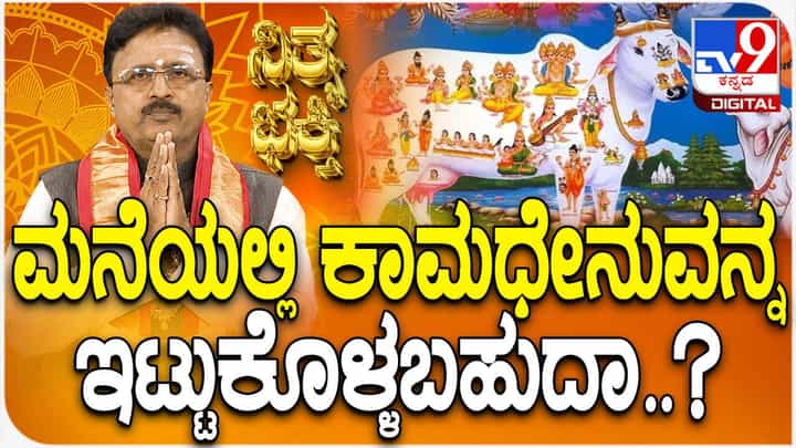 Daily Devotional: ಮನೆಯಲ್ಲಿ ಕಾಮಧೇನುವನ್ನು ಇಟ್ಟುಕೊಳ್ಳಬಹುದೇ? Daily Devotional: ಮನೆಯಲ್ಲಿ ಕಾಮಧೇನುವನ್ನು ಇಟ್ಟುಕೊಳ್ಳಬಹುದೇ?