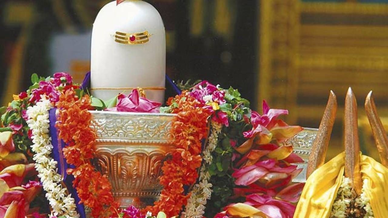 ಶಿವಪೂಜೆಯಲ್ಲಿ ಕೇದಿಗೆ ಹೂ ಬಳಸದಿರಲು ಕಾರಣವೇನು? ಪುರಾಣ ಕಥೆ ಇಲ್ಲಿದೆ ಶಿವಪೂಜೆಯಲ್ಲಿ ಕೇದಿಗೆ ಹೂ ಬಳಸದಿರಲು ಕಾರಣವೇನು? ಪುರಾಣ ಕಥೆ ಇಲ್ಲಿದೆ
