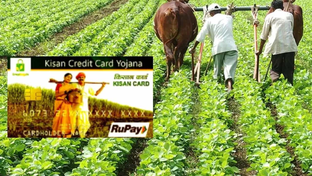 Kisan Credit Card Loan: ಕಿಸಾನ್ ಕ್ರೆಡಿಟ್ ಕಾರ್ಡ್ ಸಾಲದ ಮಿತಿ 5 ಲಕ್ಷ ರೂ.ಗೆ ಹೆಚ್ಚಳ, ಯಾರು ಅರ್ಹರು? ಇಲ್ಲಿದೆ ವಿವರ