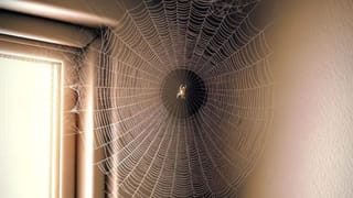 Personality Test: ನಿಮ್ಮ ಕಿರುಬೆರಳು ವ್ಯಕ್ತಿತ್ವ ಹೇಳುತ್ತೆ