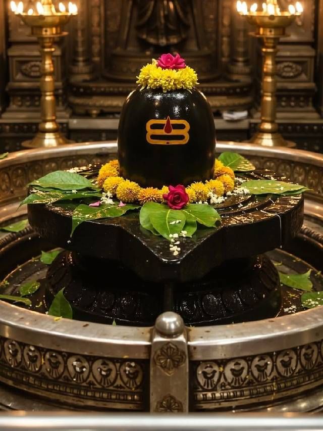 ಮಹಾಶಿವರಾತ್ರಿಯಂದು ಉಪವಾಸ ಮಾಡುವವರು ಈ ವಿಷ್ಯ ನೆನಪಿನಲ್ಲಿಟ್ಟುಕೊಳ್ಳಿ
