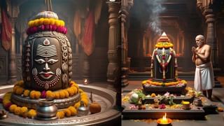 Mahashivratri 2025: ಮನೆಯಲ್ಲಿ ಶಿವಲಿಂಗ ಇಟ್ಟು ಪೂಜೆ  ಮಾಡುತ್ತಿದ್ದೀರಾ? ಹಾಗಿದ್ರೆ ಈ ವಿಷ್ಯ ನಿಮಗೆ ತಿಳಿದಿರಲಿ